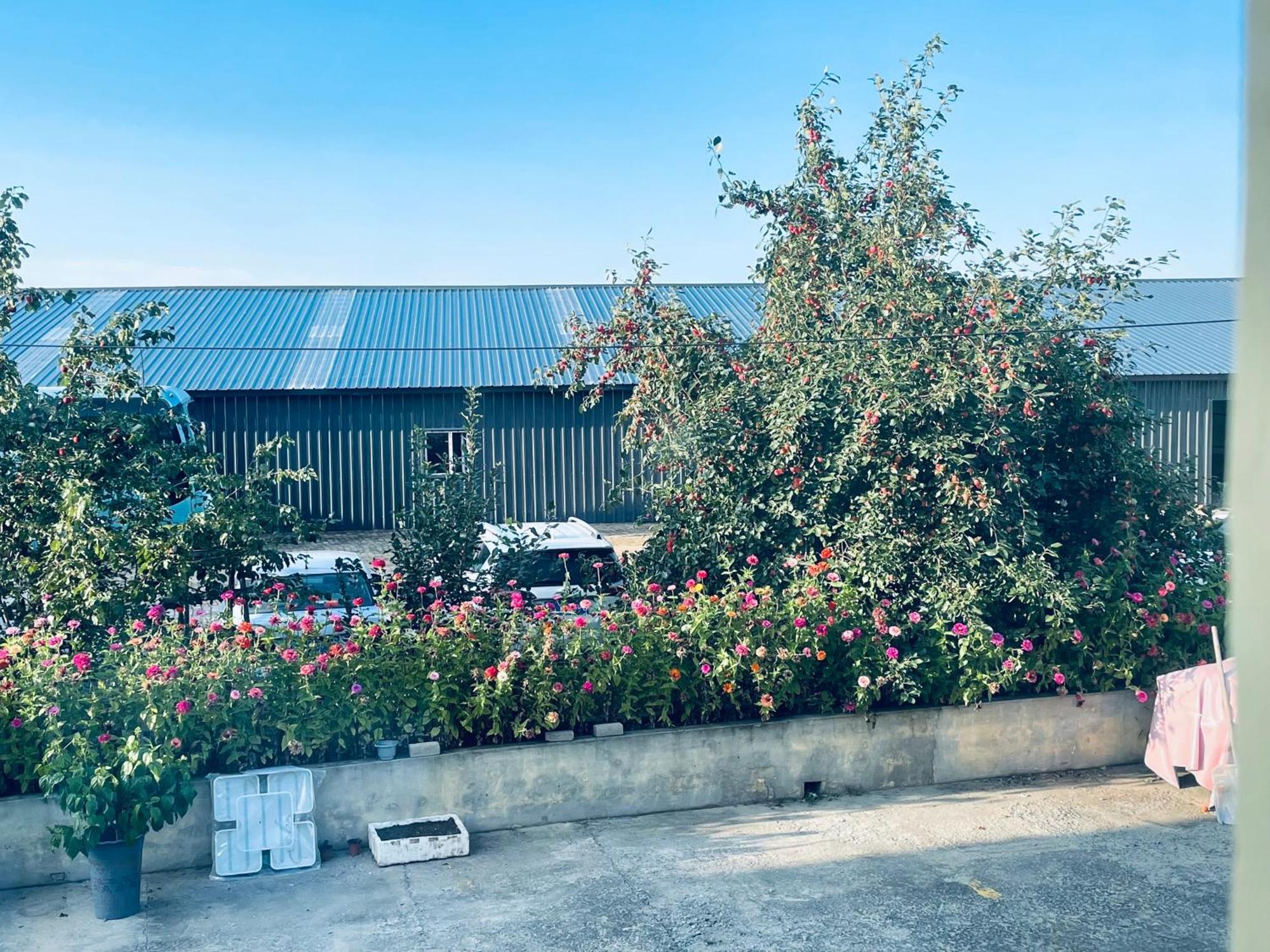 哈尔滨机场东方红运宾馆 Otel Dış mekan fotoğraf